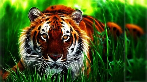 cool tiger wallpaper desktop.